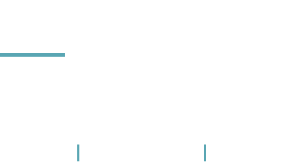 Logo David Mares white